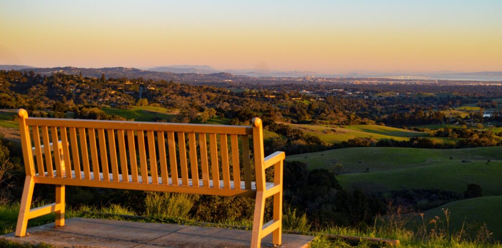 bench with a view